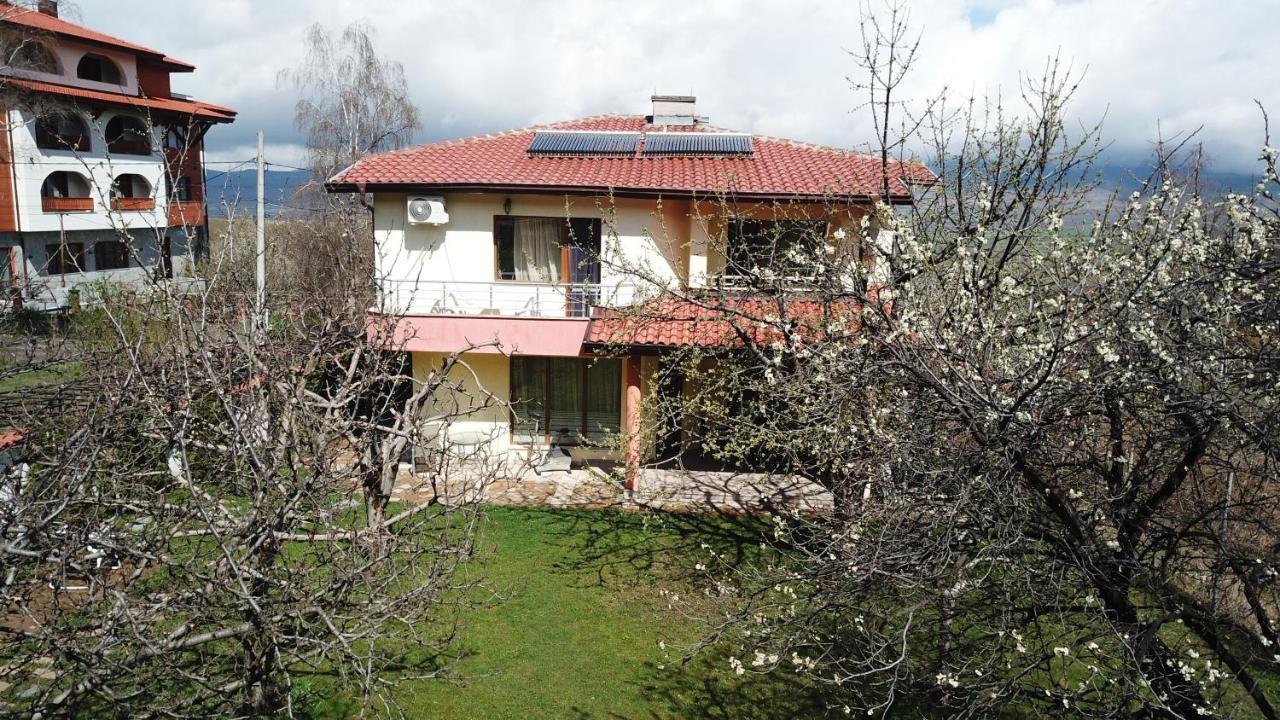 Kot Garden Guest House Saparewa Banja Zewnętrze zdjęcie