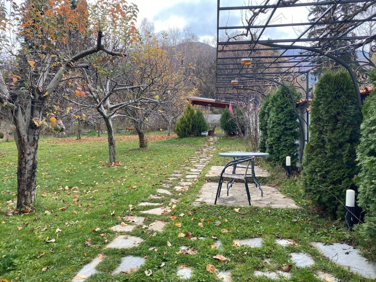 Kot Garden Guest House Saparewa Banja Zewnętrze zdjęcie