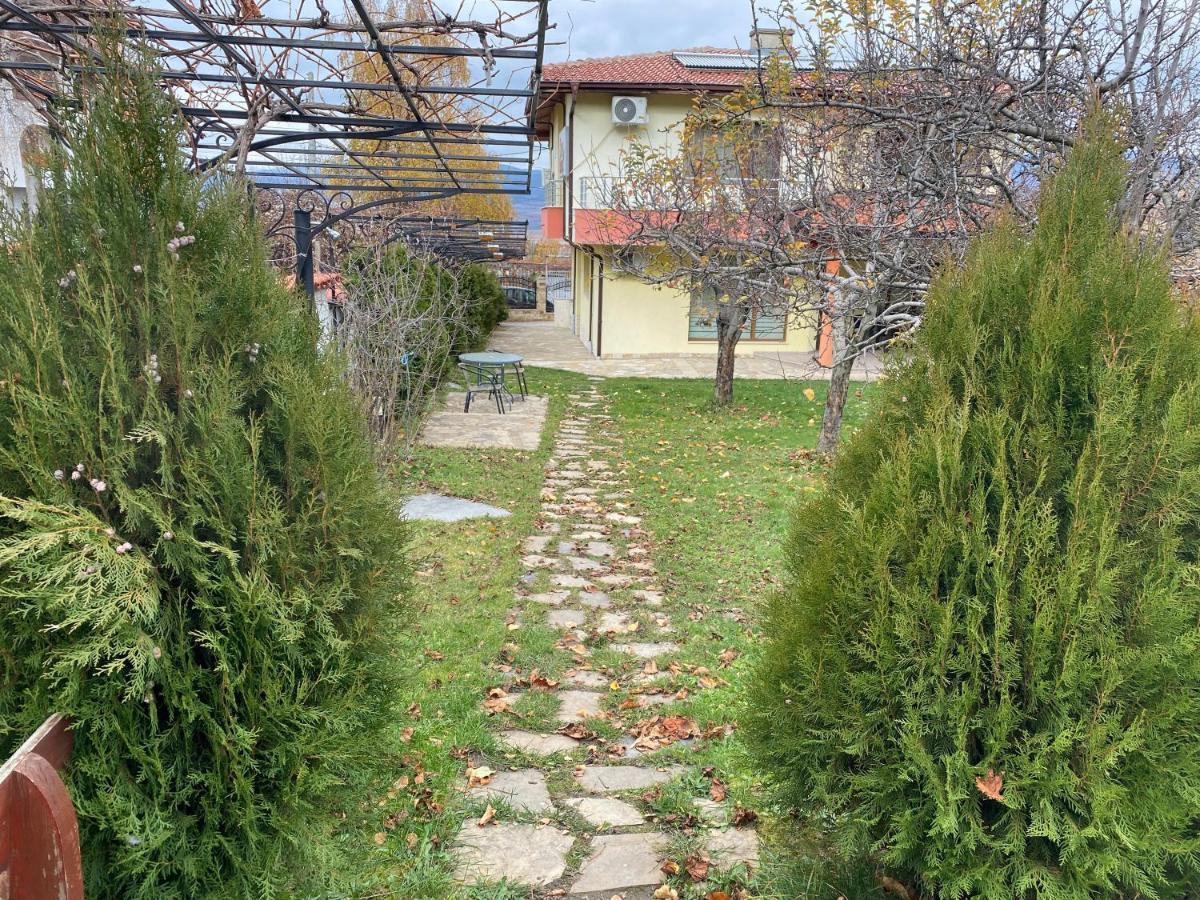 Kot Garden Guest House Saparewa Banja Zewnętrze zdjęcie